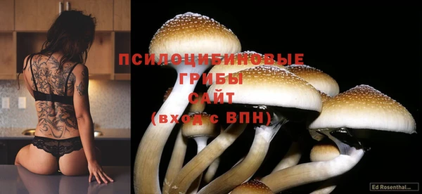 jwh Баксан
