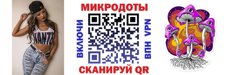 KRAKEN как зайти  Лермонтов  Псилоцибиновые грибы прущие грибы 
